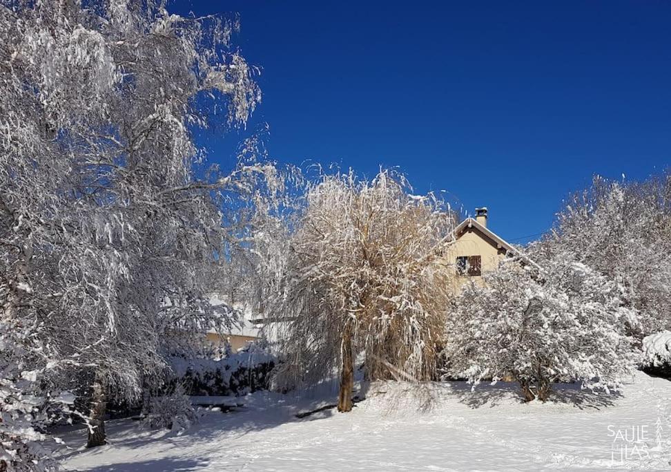 Studio Cosy Et Fonctionnel Entre Saule Et Lilas Villard-de-Lans Luaran gambar