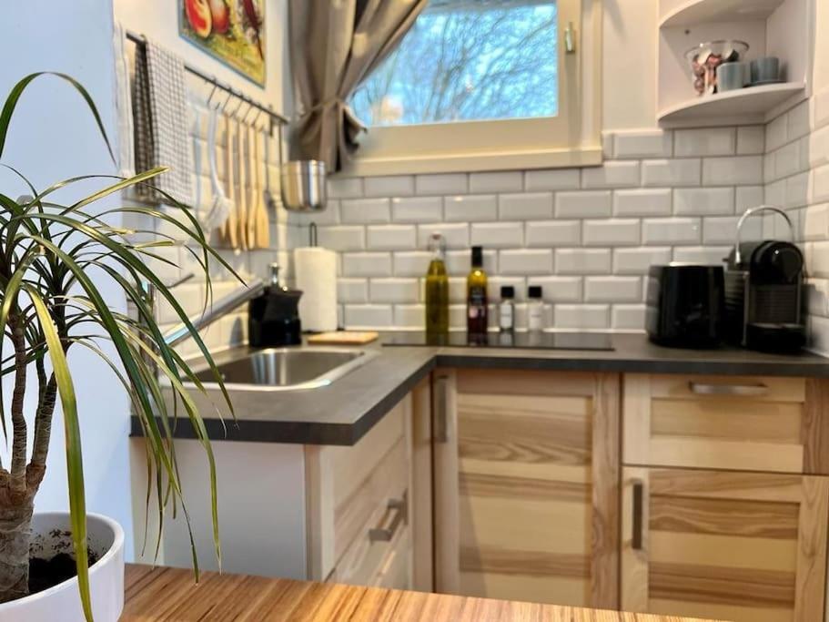 Studio Cosy Et Fonctionnel Entre Saule Et Lilas Villard-de-Lans Luaran gambar